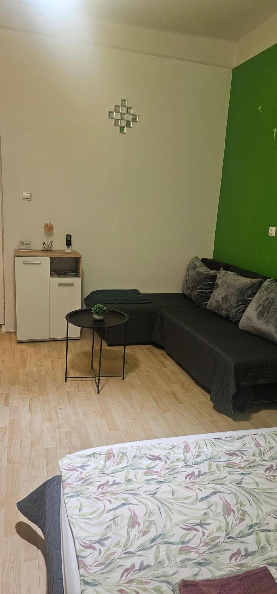 Apartment Zizi